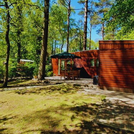 Wooden Nature Chalet - Dennenrhode Doornspijk Βίλα Εξωτερικό φωτογραφία