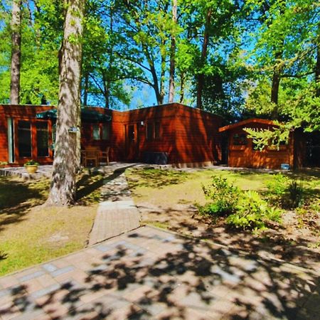 Wooden Nature Chalet - Dennenrhode Doornspijk Βίλα Εξωτερικό φωτογραφία
