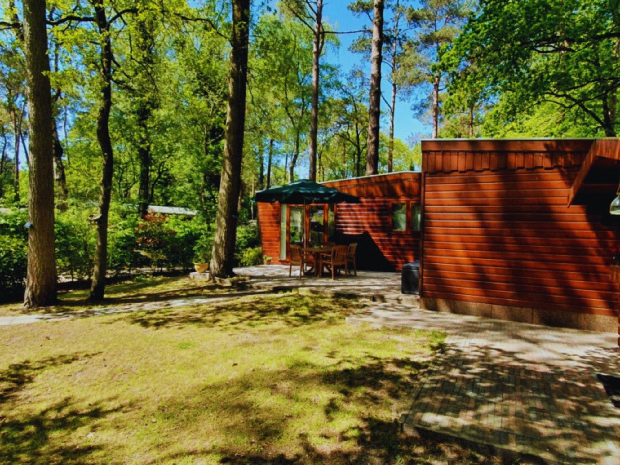Wooden Nature Chalet - Dennenrhode Doornspijk Βίλα Εξωτερικό φωτογραφία